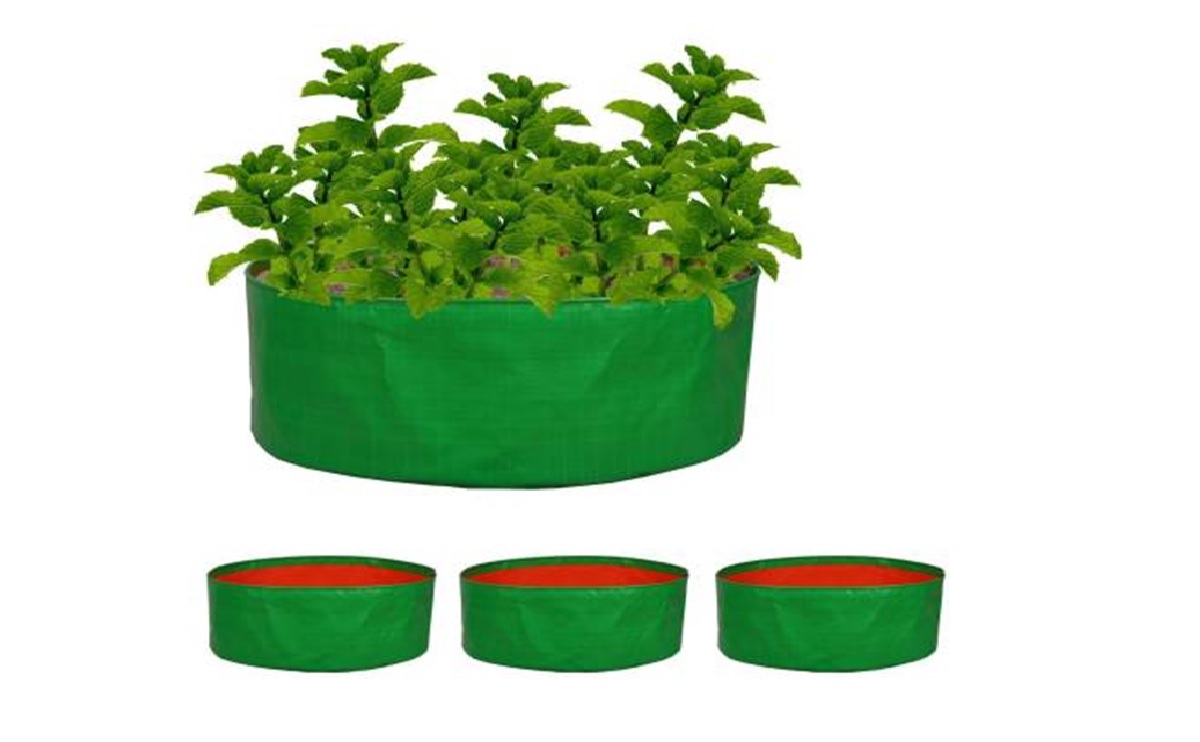 MASHKI Green Bags for Plants, of Size 10x10 Inches, Hdpe Grow Bags, Plant  Bags, Bag Plant Grow Bag for Home Gardening : Amazon.in: Garden & Outdoors