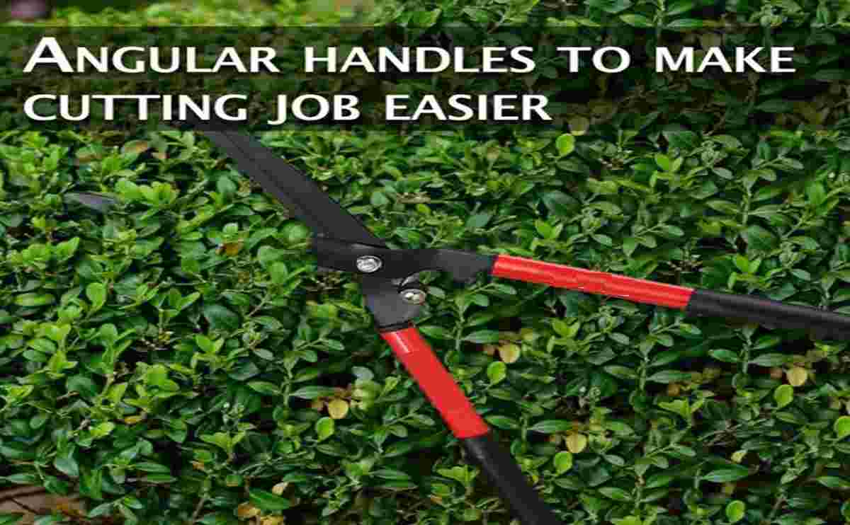 Hedge shears tool straight drop forged steel garden tools