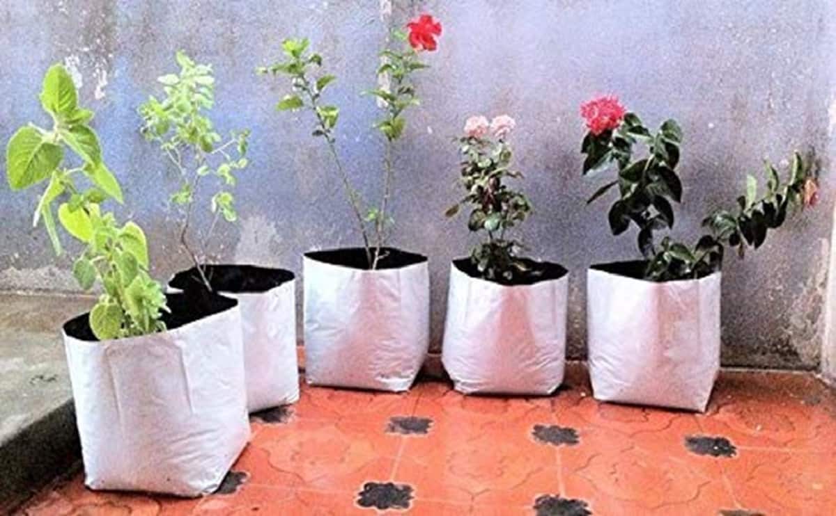 Hdpe green grow bags online | Nursery Plant Bags Manufacturer |Siddhi  Agritech