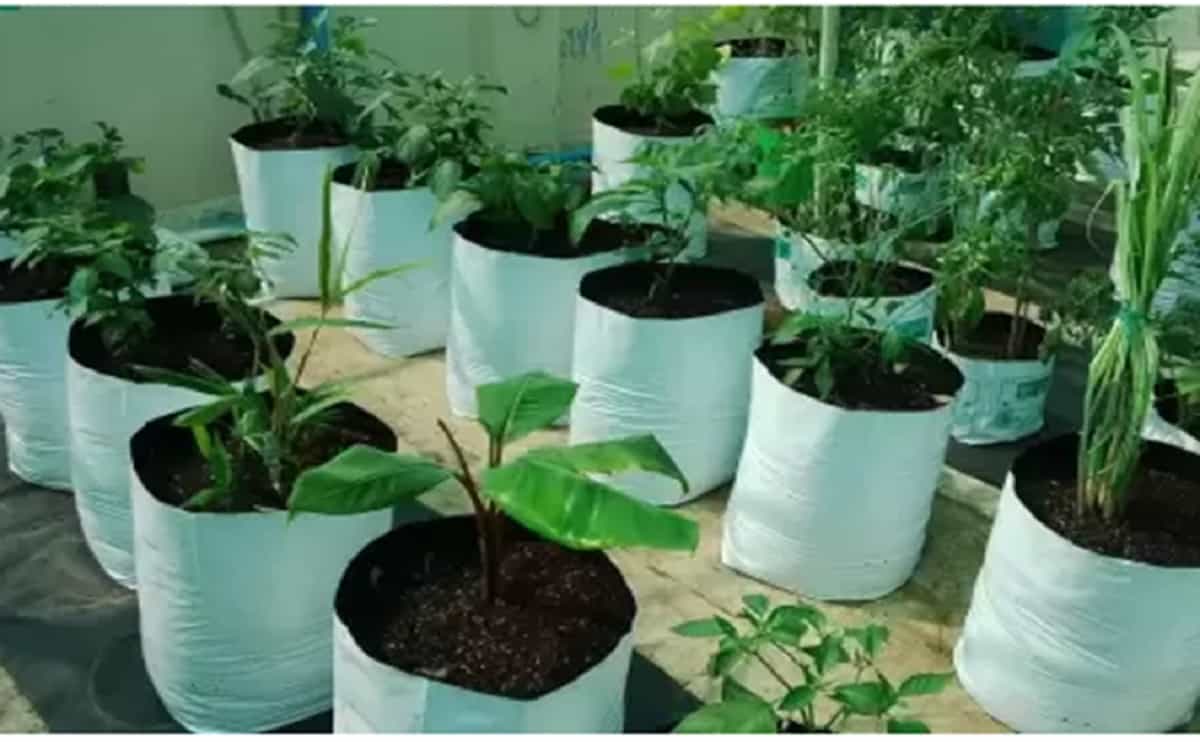 Circular Black LDPE Plastic Bags Terrace Gardening Home Gardening For  Growing Plants
